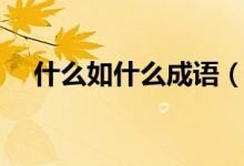 什么如什么成语（什么如什么成语解释）