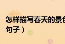 怎样描写春天的景色写一段话（描写春天景色句子）