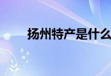 扬州特产是什么（扬州有什么特产）