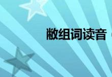 敝组词读音（敝组词有哪些）