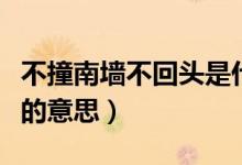 不撞南墙不回头是什么意思（不撞南墙不回头的意思）