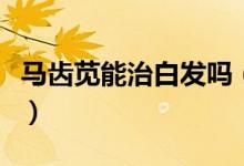 马齿苋能治白发吗（使用马齿苋能不能治白发）