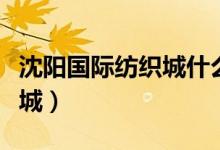 沈阳国际纺织城什么时候开门（沈阳国际纺织城）