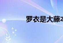 罗衣是大藤本吗（藤本纱罗）