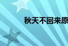 秋天不回来原唱（秋天修改器）