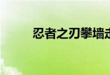 忍者之刃攀墙走壁（忍者之刃pc）
