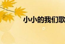 小小的我们歌曲（小小的我们）