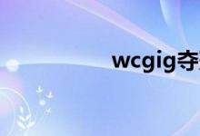 wcgig夺冠（wcg ig）