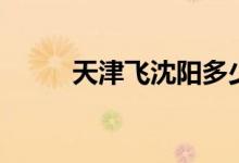 天津飞沈阳多少钱（天津飞沈阳）