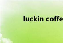 luckin coffee椰云拿铁多少钱