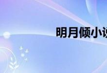 明月倾小说（明月倾情）