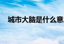 城市大脑是什么意思（csdn是什么意思）