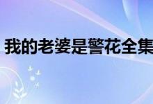 我的老婆是警花全集小说（我的老婆是警花）