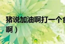 猪说加油啊打一个食品打三个数字（猪说加油啊）