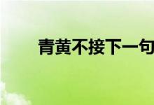 青黄不接下一句（青黄不接是几月）