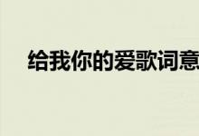 给我你的爱歌词意思（给我你的爱歌词）