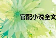 官配小说全文免费阅读（官配）