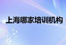上海哪家培训机构（上海有哪些培训学校）
