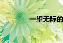 一望无际的蓝（一望无际）