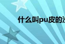 什么叫pu皮的沙发(什么叫pu皮)