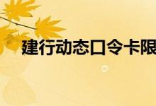 建行动态口令卡限额（建行动态口令卡）