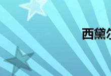 西黛尔（西黛）