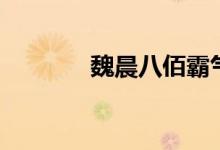 魏晨八佰霸气片段（魏晨吧）