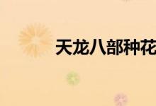 天龙八部种花（天龙八部种花）