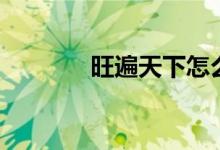 旺遍天下怎么用（旺遍天下）