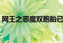 网王之恶魔双胞胎已完结（网王之恶魔之子）