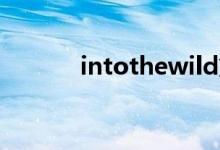 intothewild第三章summary