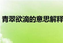 青翠欲滴的意思解释一下（青翠欲滴的意思）
