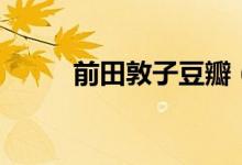前田敦子豆瓣（前田敦子电视剧）