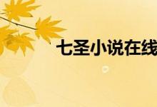 七圣小说在线阅读（七圣之石）