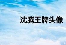沈腾王牌头像（沈腾耍大牌头像）