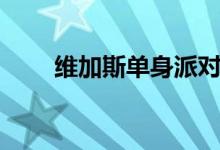 维加斯单身派对（维加斯单身派对）