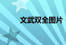 文武双全图片（文武双全不猜斌）