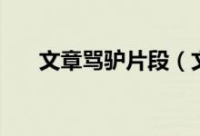 文章骂驴片段（文章骂驴是什么电影）