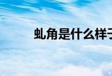 虬角是什么样子的（什么叫角球）