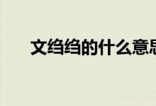 文绉绉的什么意思（文绉绉什么意思）