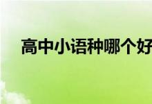 高中小语种哪个好学（小语种哪个好学）