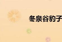 冬泉谷豹子（冬泉豹幼崽）