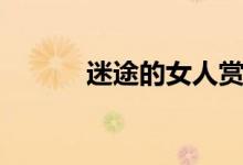 迷途的女人赏析（迷途的女人）