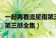 一起再看流星雨第三部小说（一起再看流星雨第三部全集）