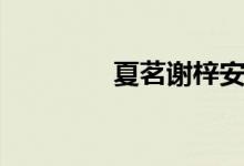 夏茗谢梓安（夏茗悠新书）