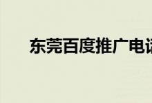 东莞百度推广电话（东莞百度分公司）