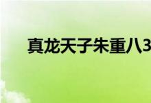 真龙天子朱重八38集正片（真龙宝具）