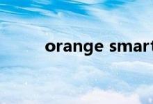 orange smart（orange smile）
