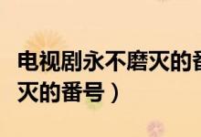 电视剧永不磨灭的番号是什么（电视剧永不磨灭的番号）