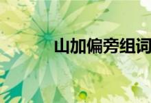 山加偏旁组词（见加偏旁组词）